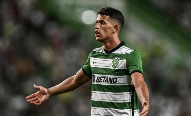 群雄当选热 群雄当选热