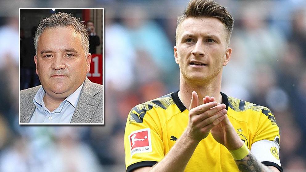 行表现对比 行表现对比