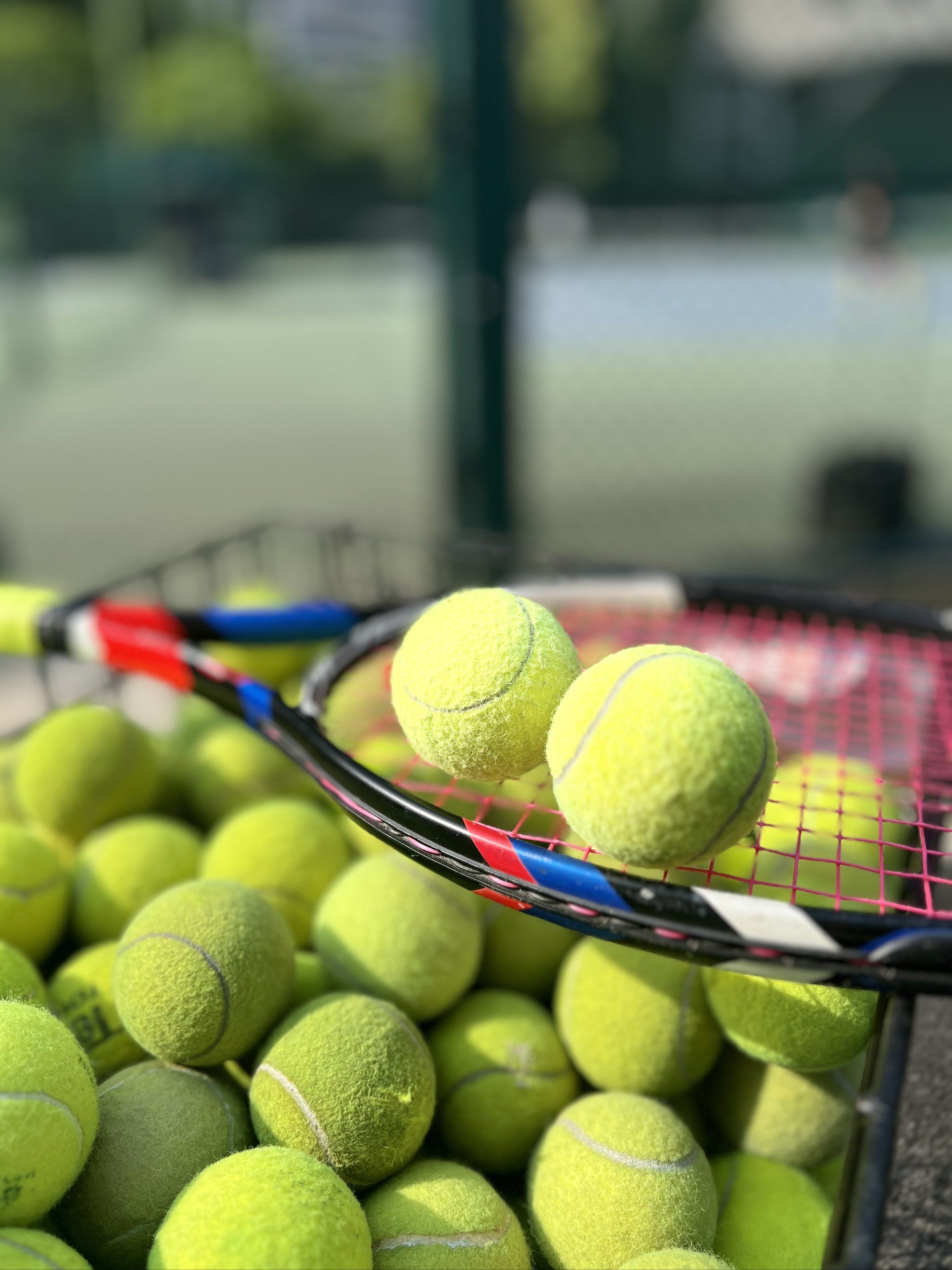 左脚骨折 左脚骨折